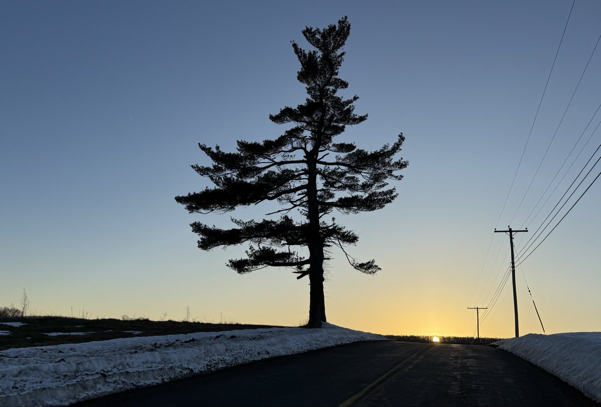 petermarteka's tweet photo. Sunset and nearly full Worm Moon rising at the Lone Pine.
#Middlefield
@Eweather13 https://t.co/aKaZaTVq6D