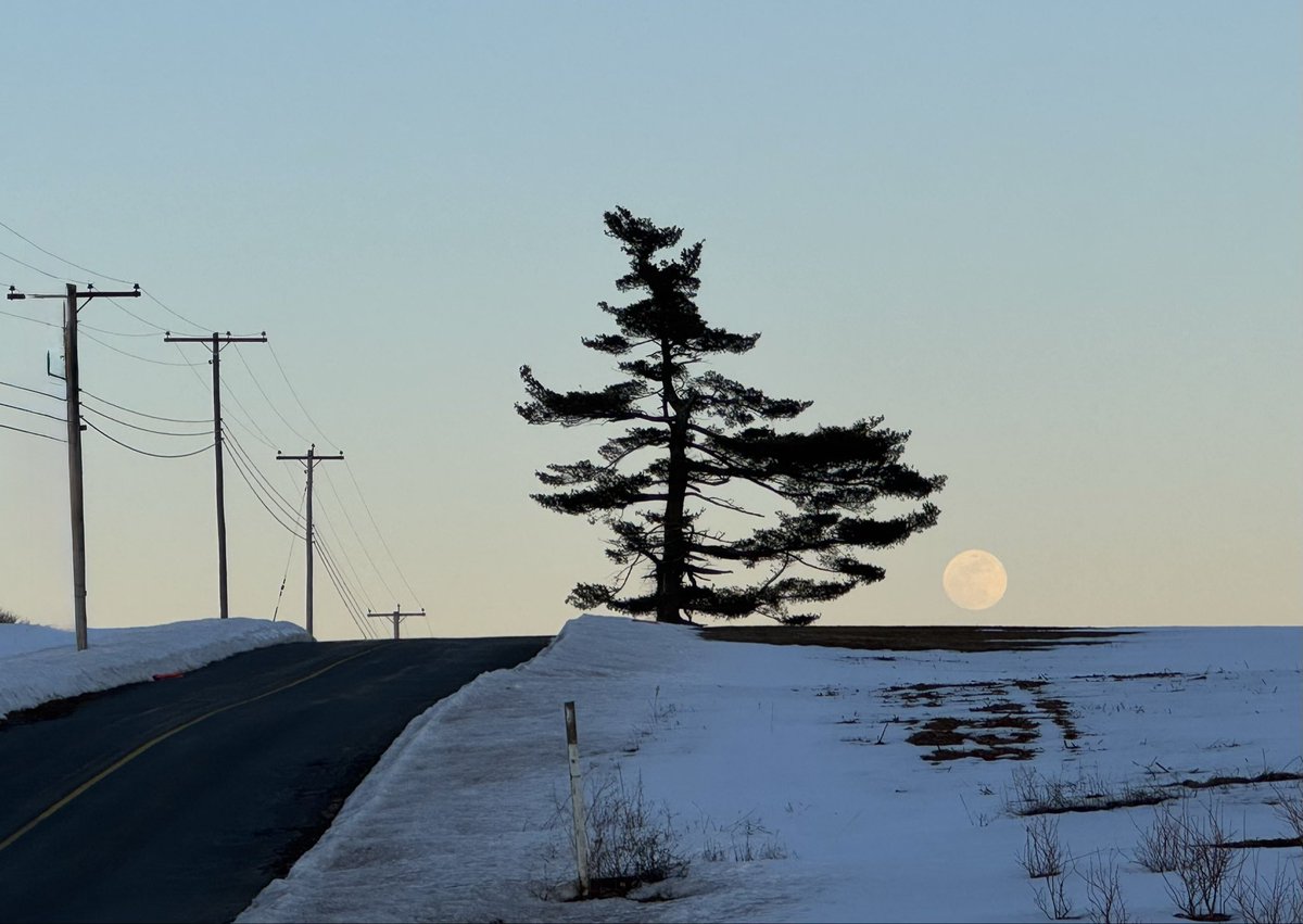 petermarteka's tweet photo. Sunset and nearly full Worm Moon rising at the Lone Pine.
#Middlefield
@Eweather13 https://t.co/aKaZaTVq6D