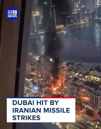 President-Elect Toguro tweet media