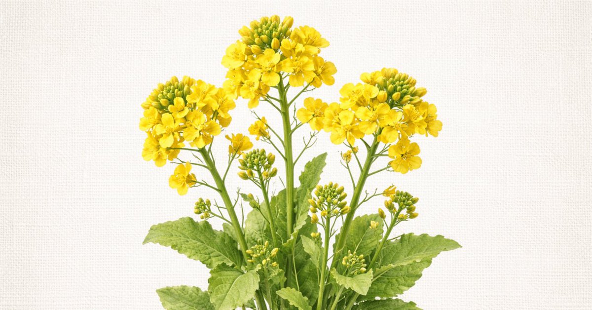 けー。🌸お花 × カウンセリング tweet media