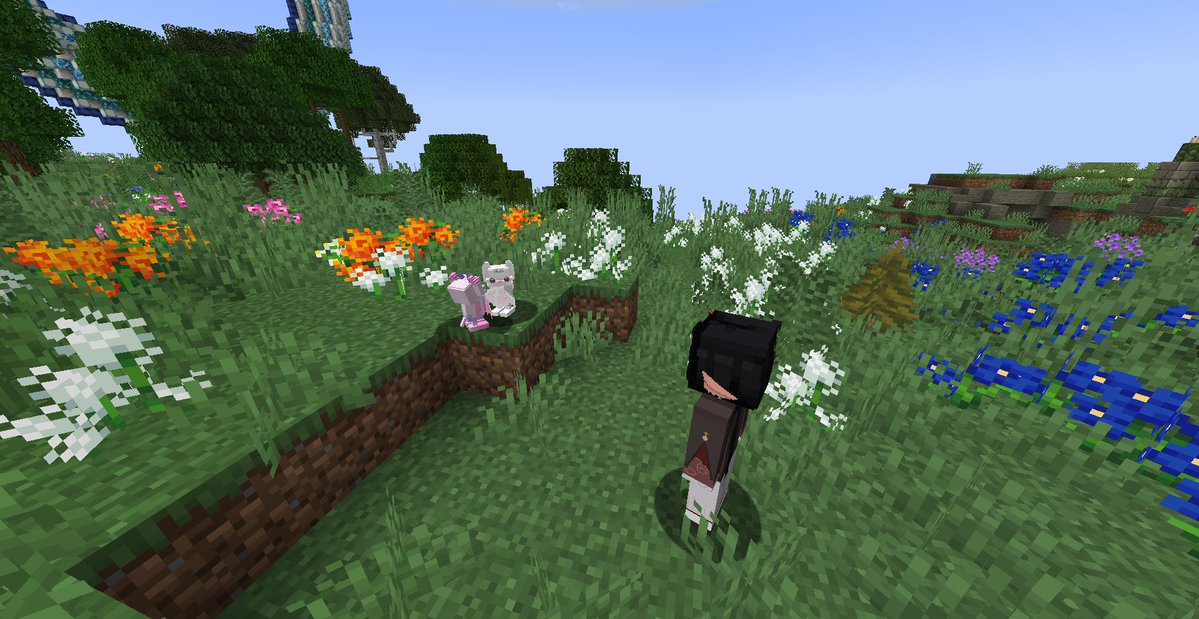 Shiny SMP tweet media