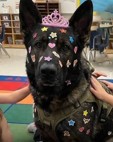 힐링짤모으는곳 tweet media