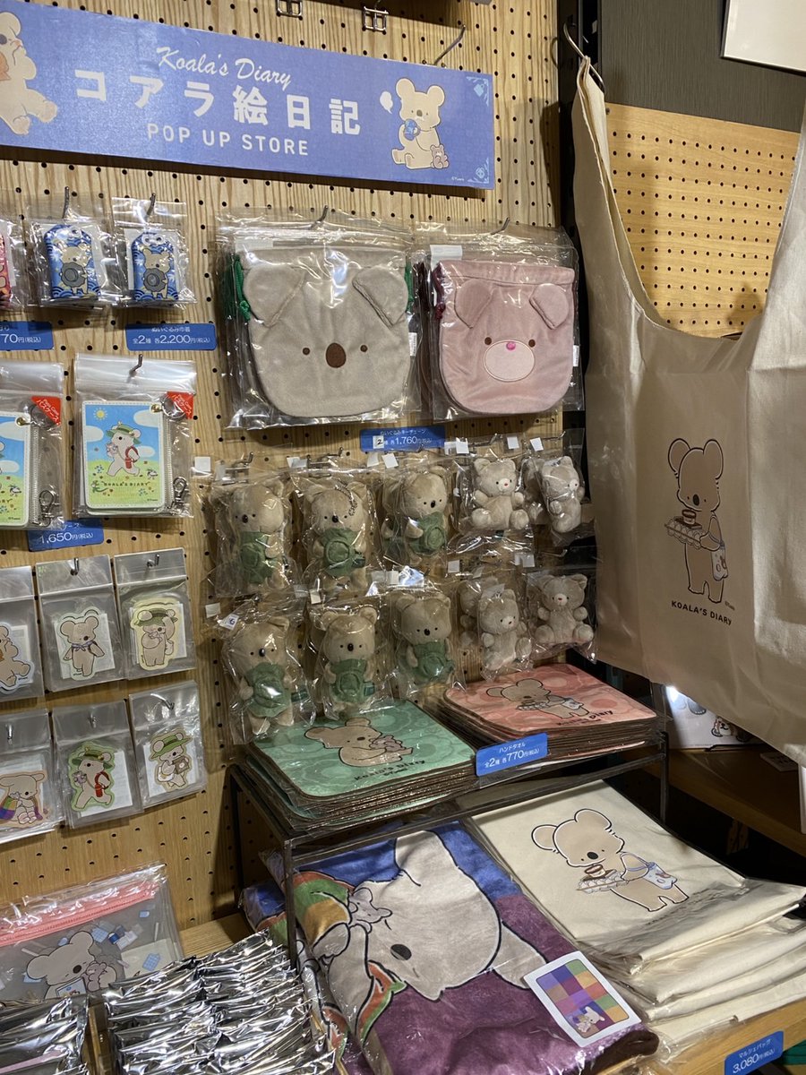 SKYZOO (スカイズー) tweet media