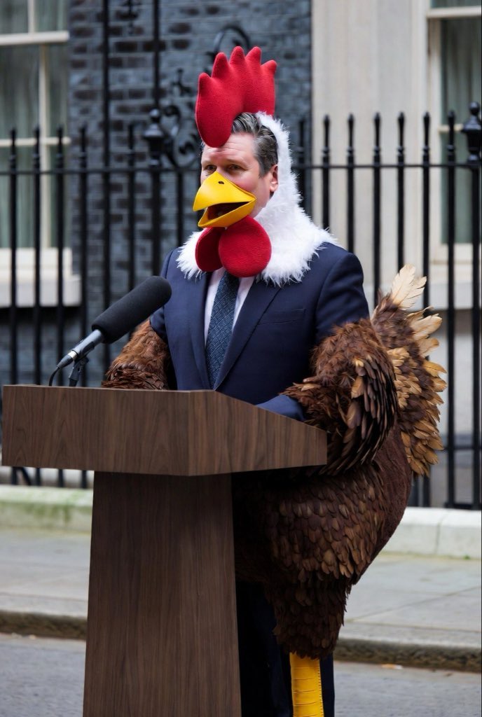 Blusnowfox's tweet image. Starmer: The Chicken of Britain.