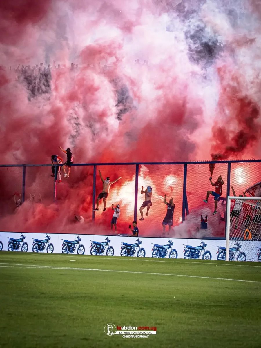 7411 - Hinchada Nacional tweet media