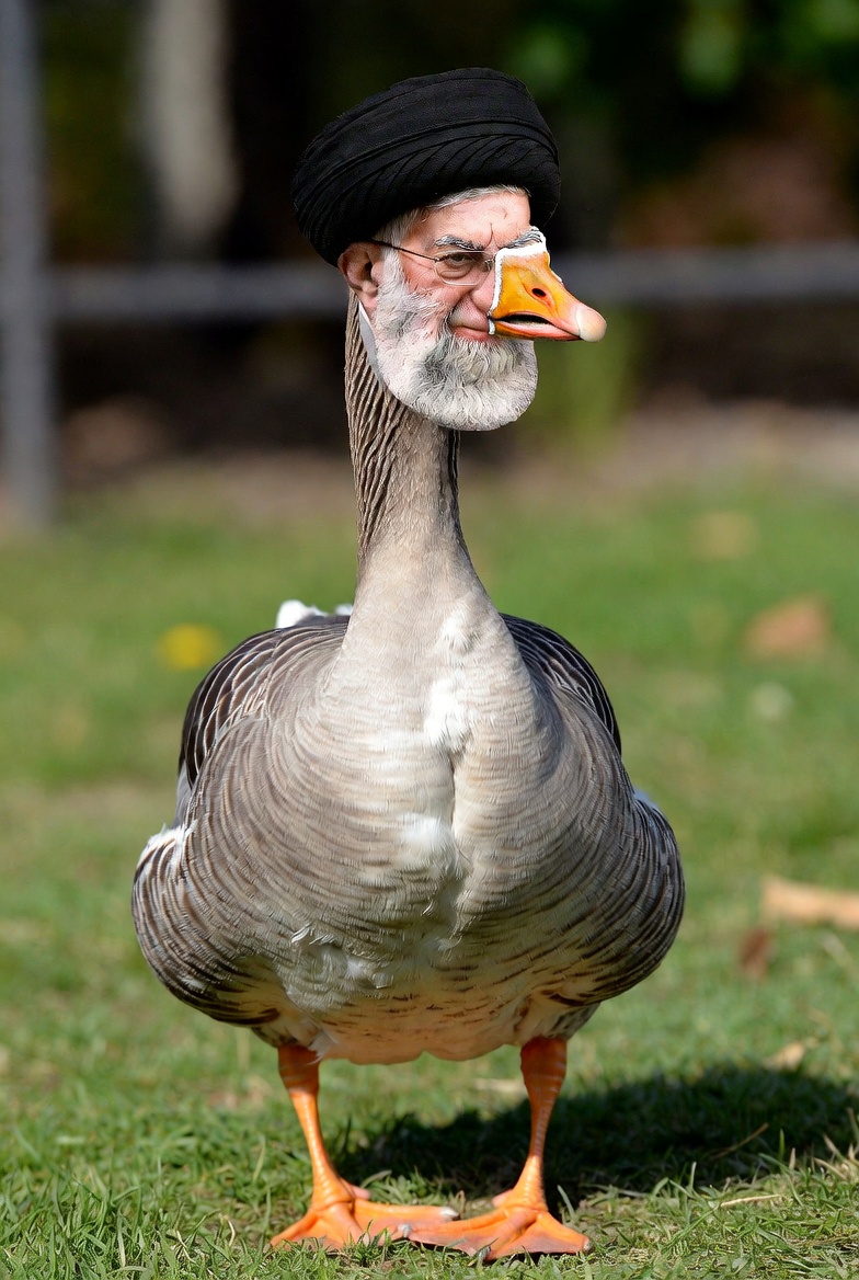 Steven H fron O&D tweet media