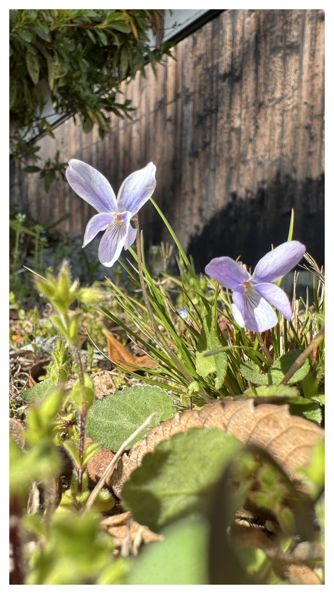 seiko_ttarou's tweet image. #NoMoreWar