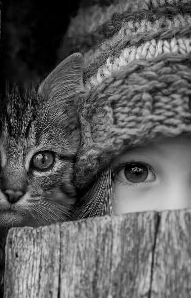 👤♢ إآلُمـيَرٍگإآتـ,🐺😎 tweet media