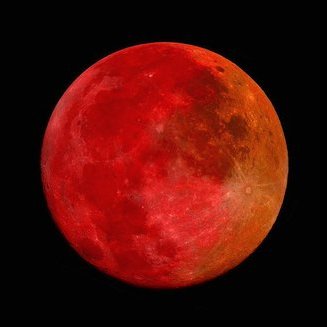 Astronomiaum tweet media