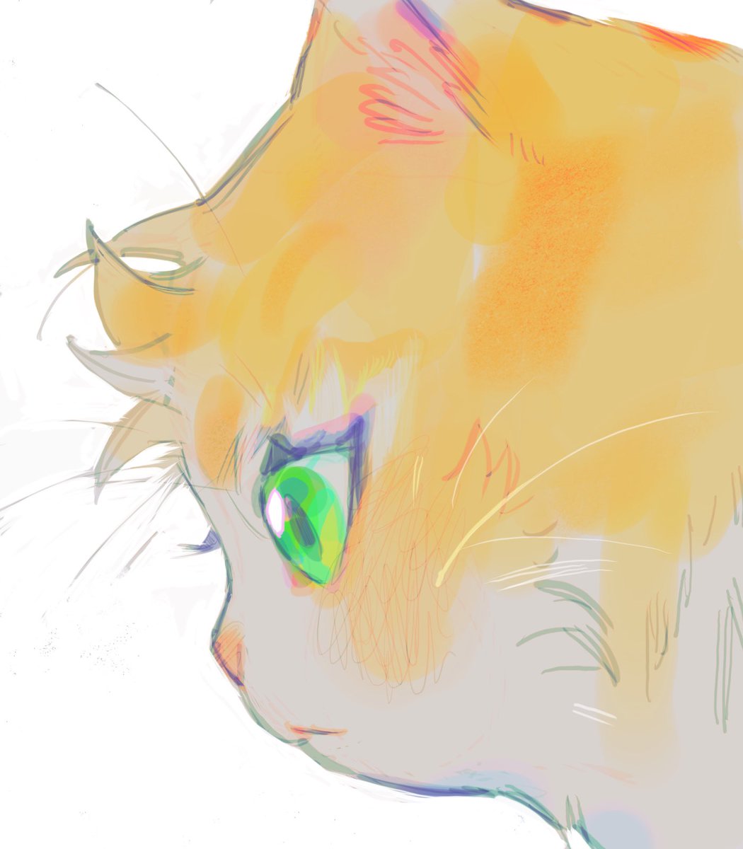 🌈🏝️💞🪨🏳️‍🌈 (@d0nutster) on Twitter photo 