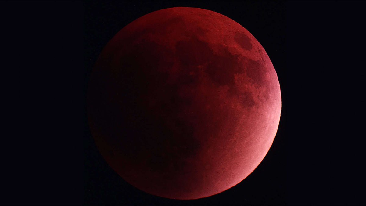 Astronomiaum tweet media