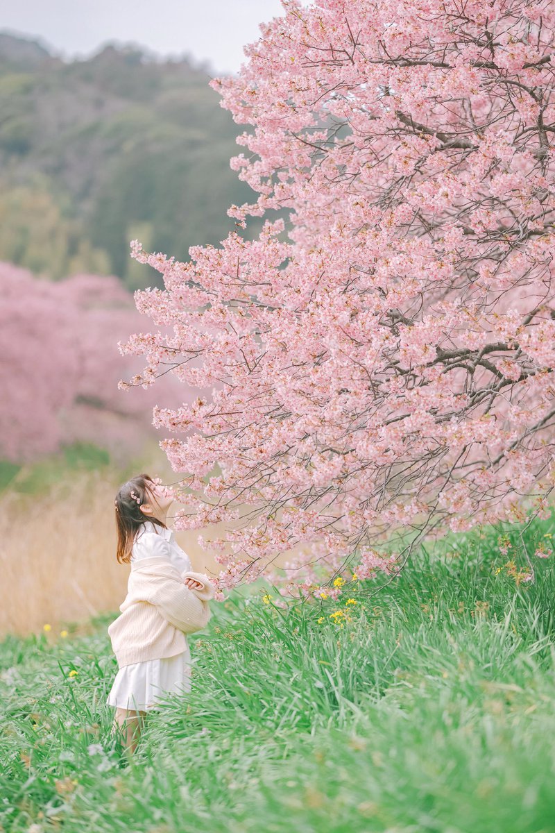 💜撮影依頼受付中
カレンダーご確認ください。リアルタイムではありません。

💜今後の予定
●3/6(金)sodland出勤(2F、19-23時)🍷座れる！
　衣装→女子社員。お目当て無料、私に通される

●3/9(月)sodland出勤(B1F、19-23時)🍷立ち
　衣装→バスタオル、お目当て無料！私に通される
