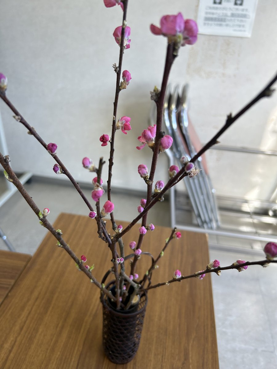 小澤實 句集『澤』重版出来 (@seisyokyo99) / Posts / X