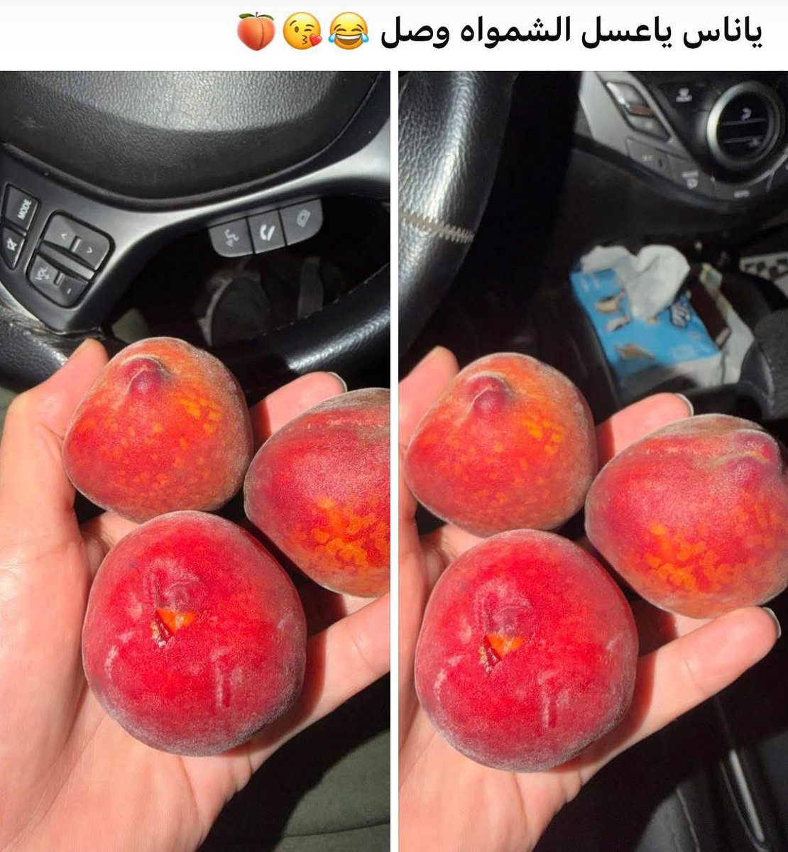 مين بيحبه الموسم بدأ😂🧡