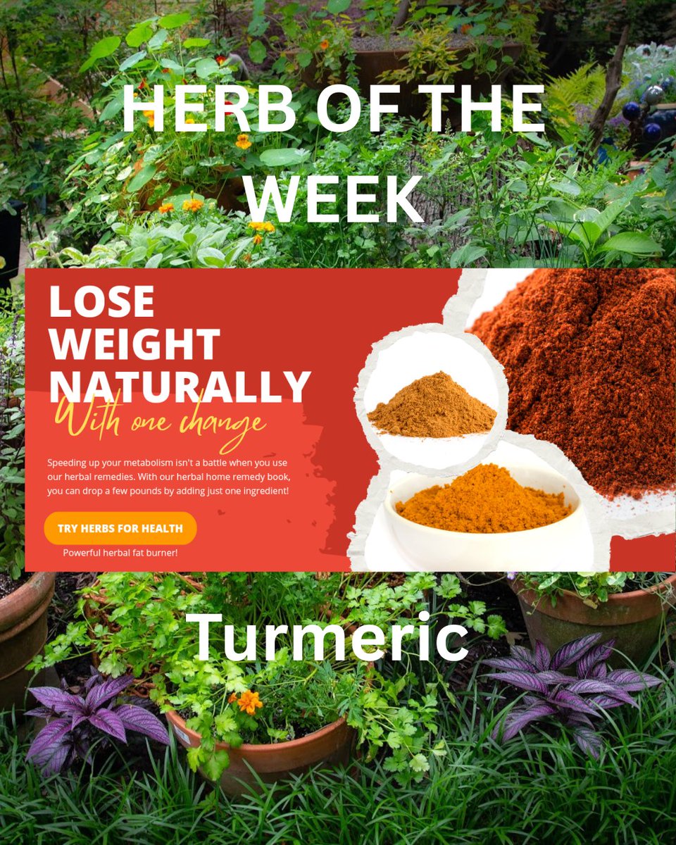 friendly770's tweet photo. Add this spice to your tea for a great morning boost. https://t.co/cwcERw0rij