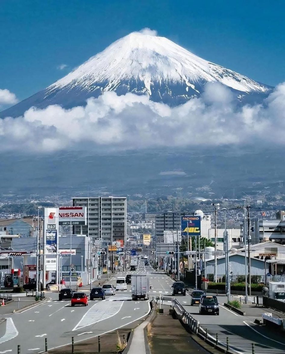 F A T I M A tweet media