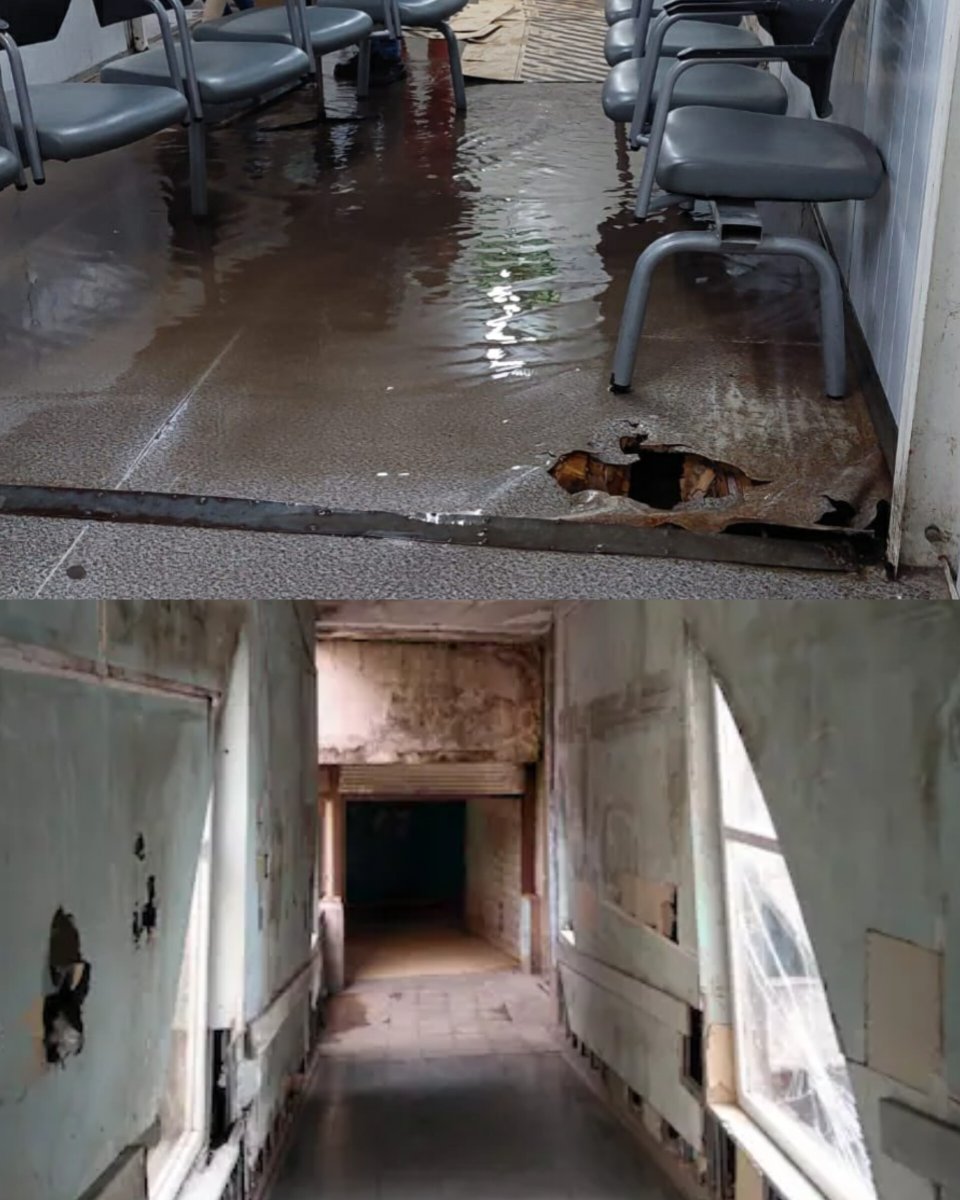 Kicillof: "Para nosotros la salud pública es un derecho, no una mercancía"

Los hospitales públicos en la PBA: