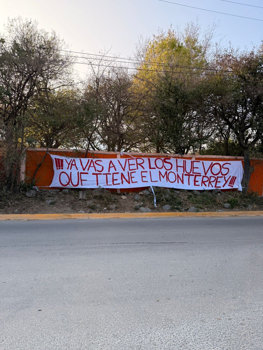 Tano Rayado tweet media