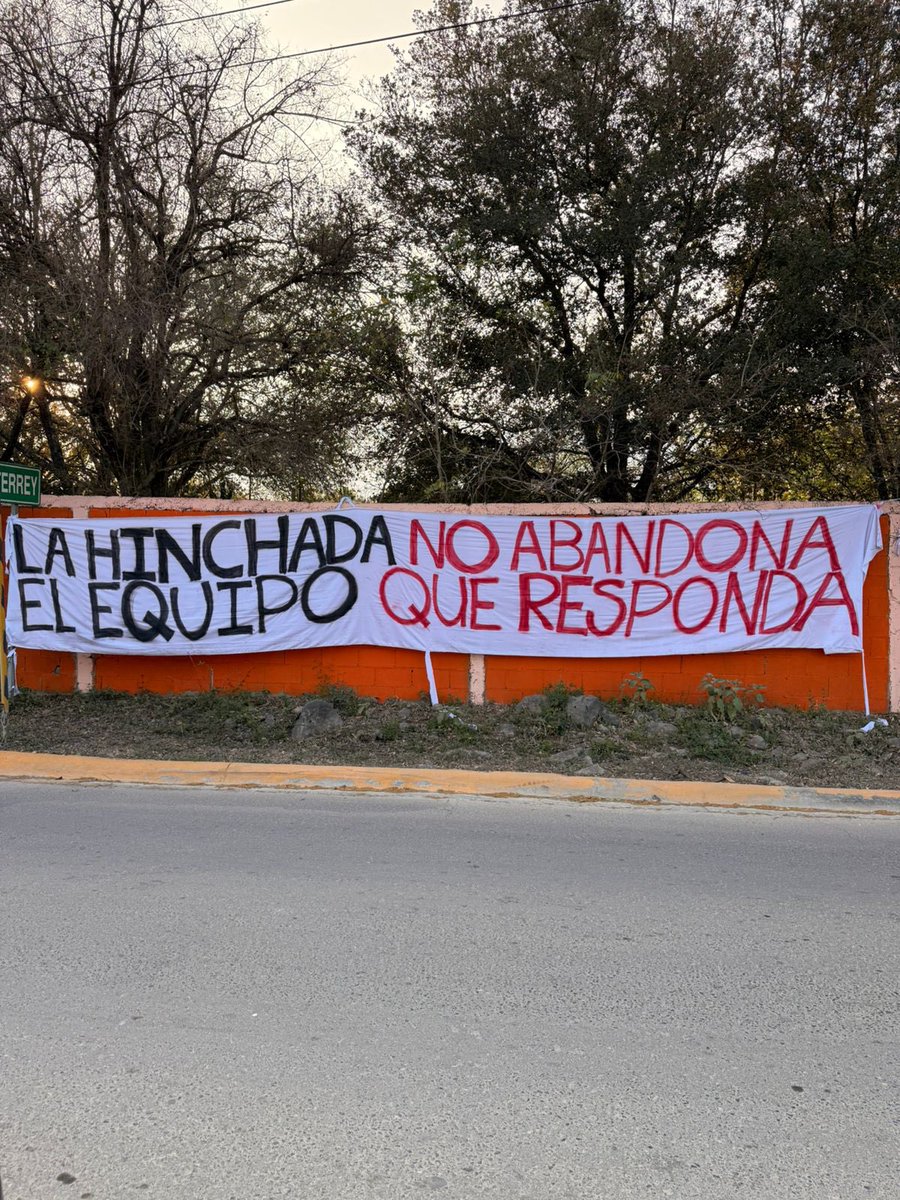 Tano Rayado tweet media