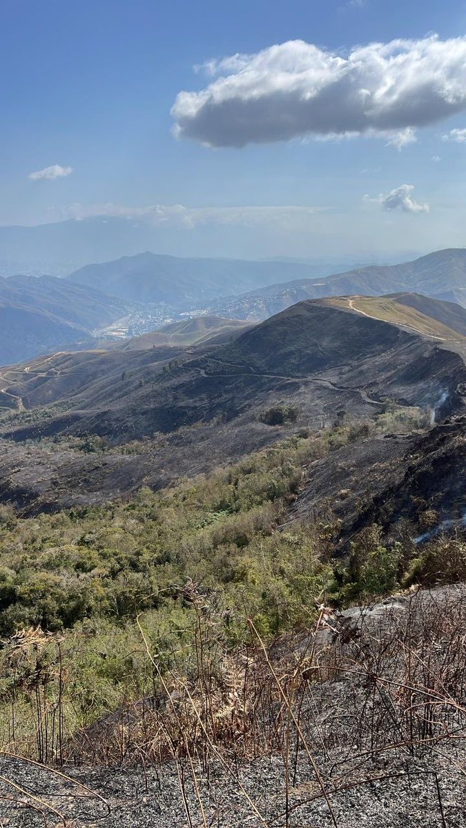 sanches49673's tweet photo. Durante este fin de semana, los diferentes  organismos del Sistema Nacional de Gestión de Riesgo, Bomberos Forestales de INPARQUES, Protección Civil y Cuerpos de Voluntarios, se han desplegado de manera ininterrumpida para combatir y controlar diversos incendios forestales registrados en parques nacionales y zonas estratégicas de la región central del país.

Balance de la Situación Actual (Corte 11:03 HLV). Gracias a la intervención rápida de los diferentes cuerpos de bomberas y bomberos, protección civil, cuerpo civil de guarda parques y grupos voluntarios de combatientes, el estatus de los eventos es el siguiente:

🌳 Parque Nacional Waraira Repano (Sector Quebrada Anauco): El incendio se encuentra bajo control total. Actualmente, los equipos bajo el mando del General Germán Gutiérrez finalizan las labores de liquidación y guardia de cenizas para evitar reactivaciones.

🌳Parque Nacional Macarao (Loma de Kennedy, Lagunetica): El evento ha sido extinguido y controlado gracias a laa intervención del Grupo  Voluntario Cóndor 1 liderado en el puesto de comando por Cesar Solís e Iván Galatro

🌳 Monumento Natural Cerro Platillón (Edo. Guárico): Situación controlada. Comisiones mixtas de Bomberos Forestales y Protección Civil se mantienen en labores de liquidación en el sitio.

🛣️ Autopista Regional del Centro (Tazón): A la hora del reporte, este incendio se mantiene activo y en combate (libre combustión). 

El fuego presenta dos flancos críticos: uno en dirección a las plantaciones de pinos de la Universidad Simón Bolívar y otro hacia la zona del frigorífico. Bomberos de Caracas, Protección Civil Libertador e INPARQUES concentran sus esfuerzos en este punto para frenar el avance de las llamas.

⚠️ ¡NUESTRA NATURALEZA NOS NECESITA! ⚠️

Los incendios no solo queman árboles; destruyen el hogar de nuestra fauna y el oxígeno de nuestras familias. La prevención es la mejor herramienta que tenemos
