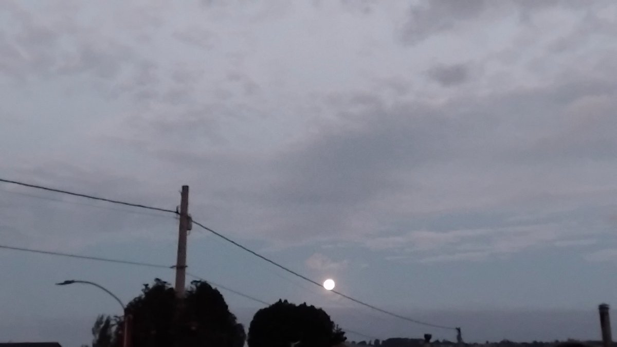 Luna de castro 2.03.2026