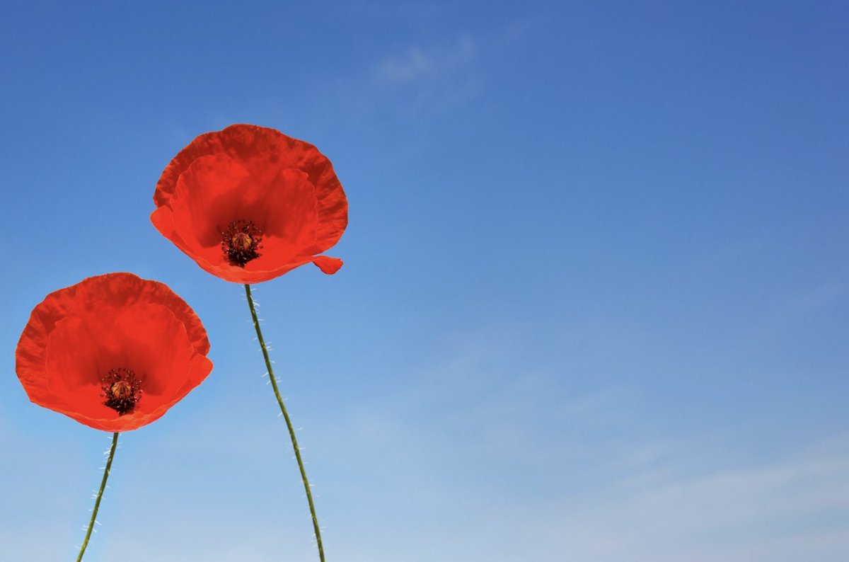 Patrick Coffin tweet media