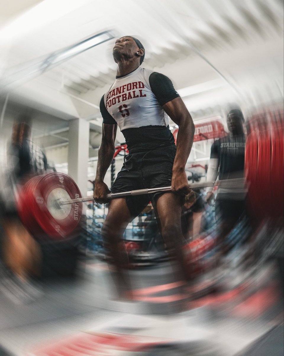 Stanford Elite tweet media