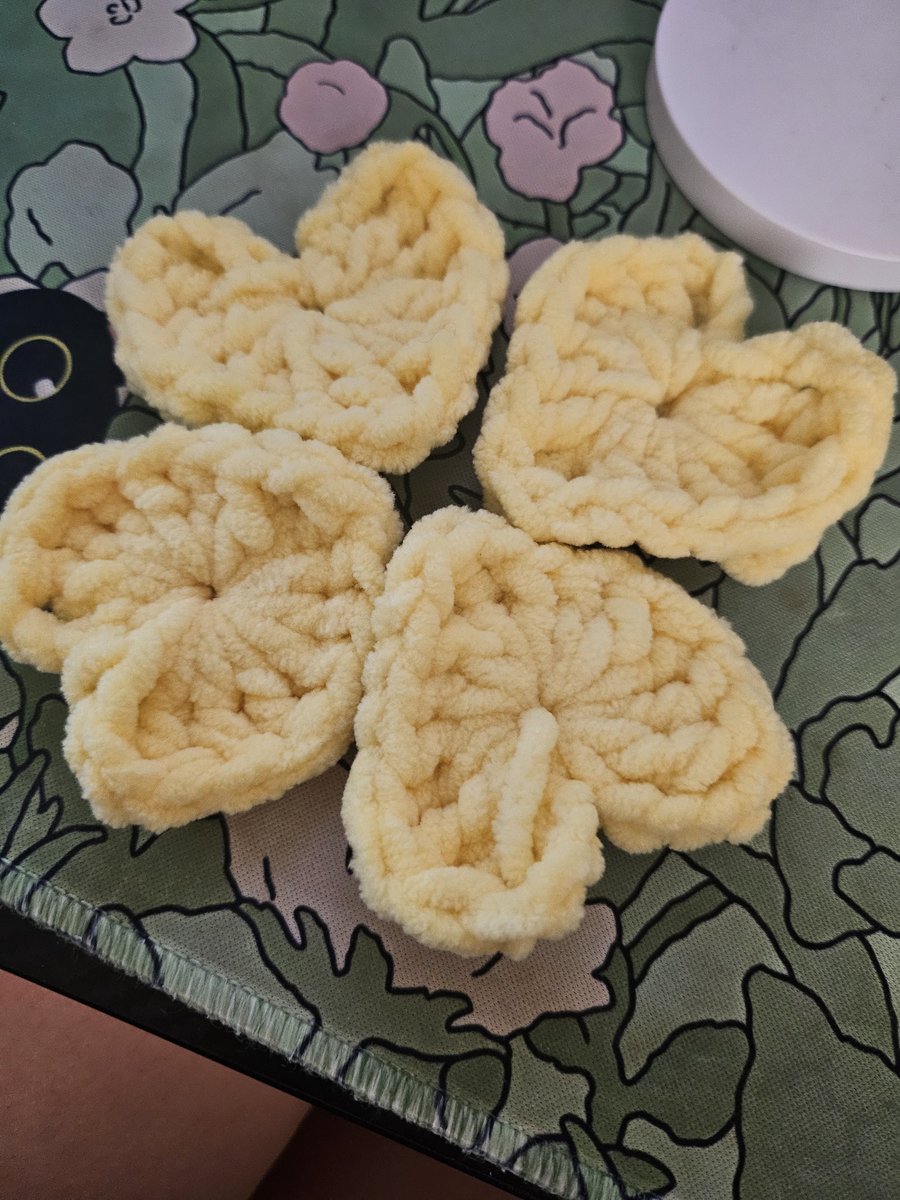 🌱Bean🌻 tweet media