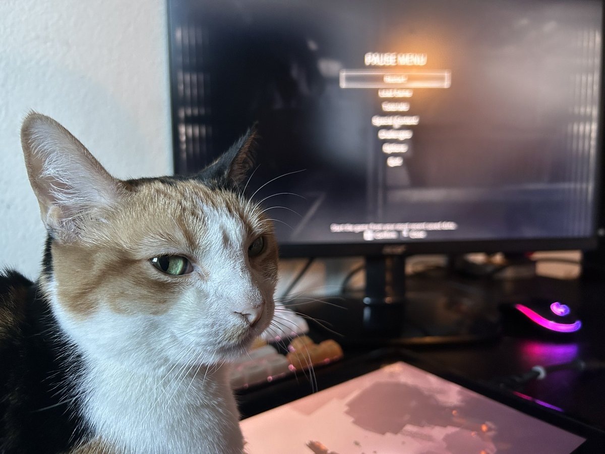 ok well i dont know why she looks like she’s judging me for being scared like she doesnt run away from the vacuum