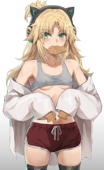 たいやき好きなモードレッドv2 