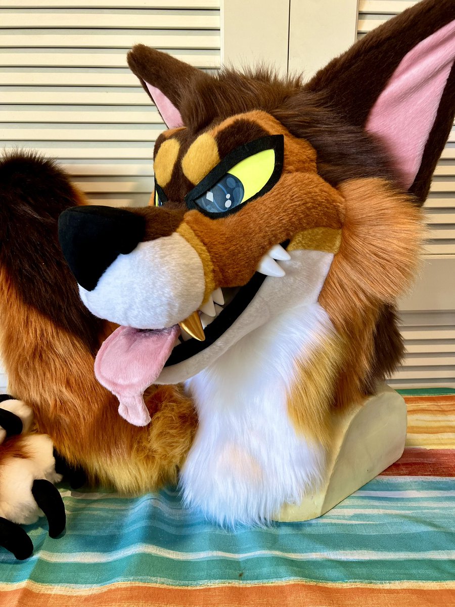 🌴✨Scout Pawfoot 🔜FWA, FURLANDIA, GALACTIC CAMP tweet media