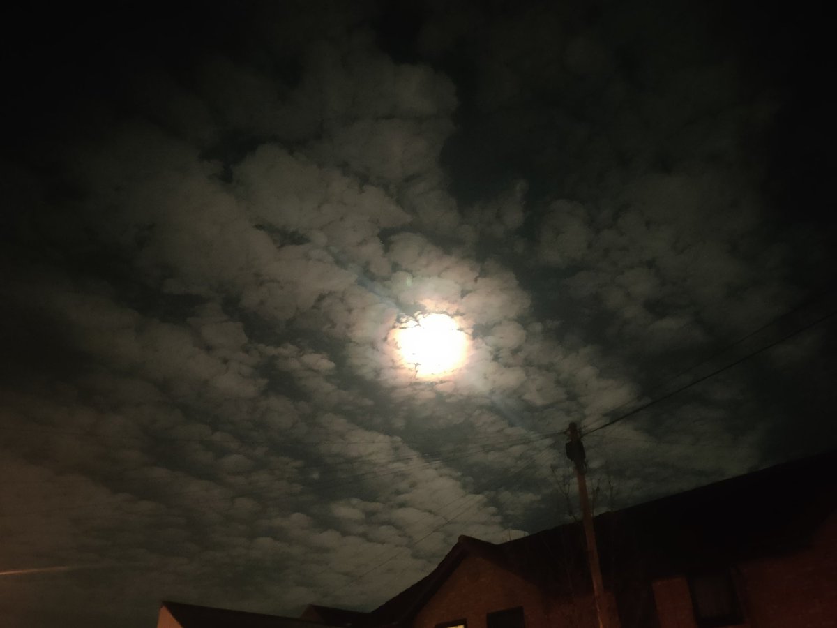 SLAIN South London Animal Investigation Network tweet media