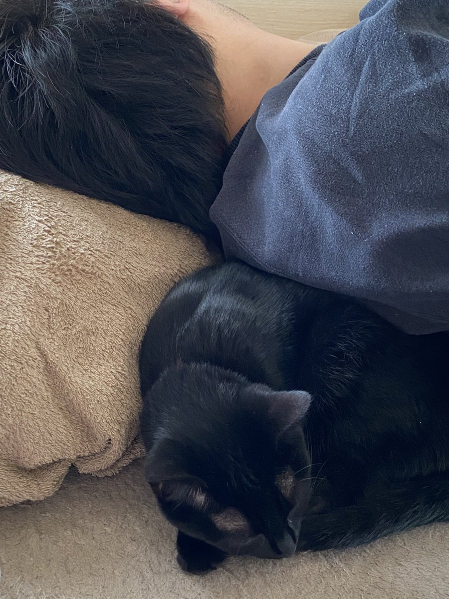 .*.꒰ঌ𝘼𝙠𝙖𝙧𝙞໒꒱.*. tweet media