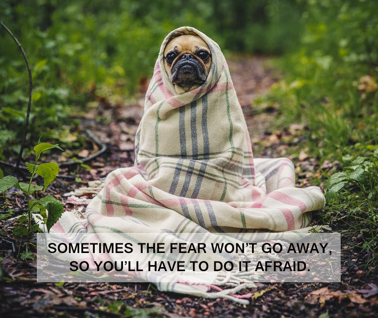BostederCarla's tweet image. Sometimes the fear doesn’t leave — you just move forward anyway. If there’s something on your heart you really want to do, take the step. I’m doing that right now. It’s a little scary, and yes, it might not work out… but I’d rather try than always wonder.

#MondayMotivaton