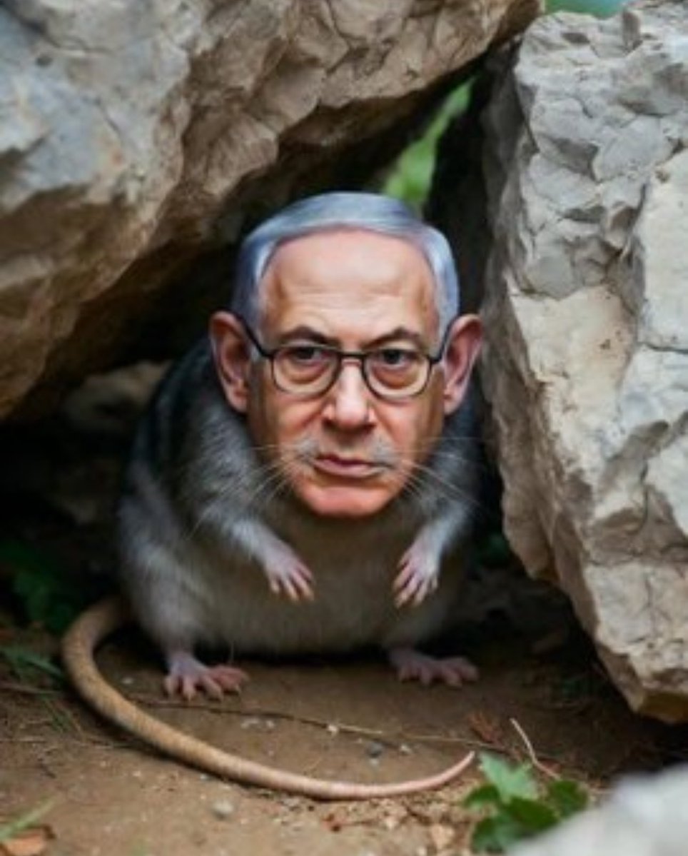 <a href="/jacksonhinklle/">Jackson Hinkle 🇺🇸</a> Meanwhile- #Netanyahu