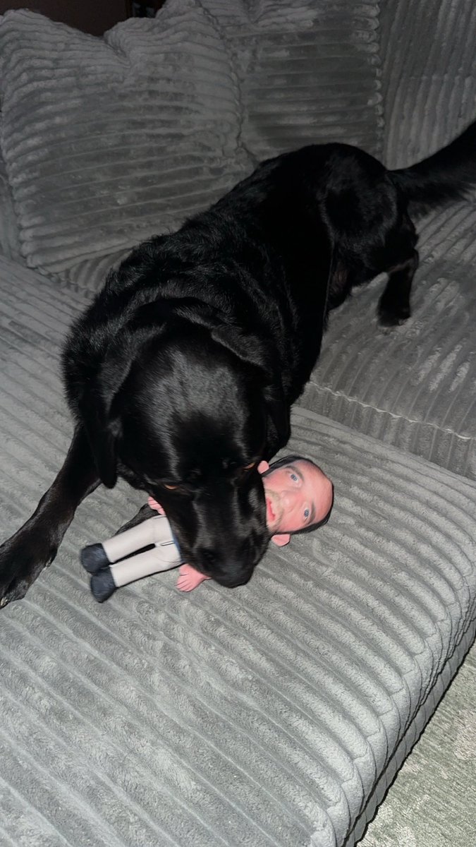 nbradyedwards's tweet photo. thought we’d join the party. he loves his Hank! #BingBong https://t.co/hbDdChy1cn