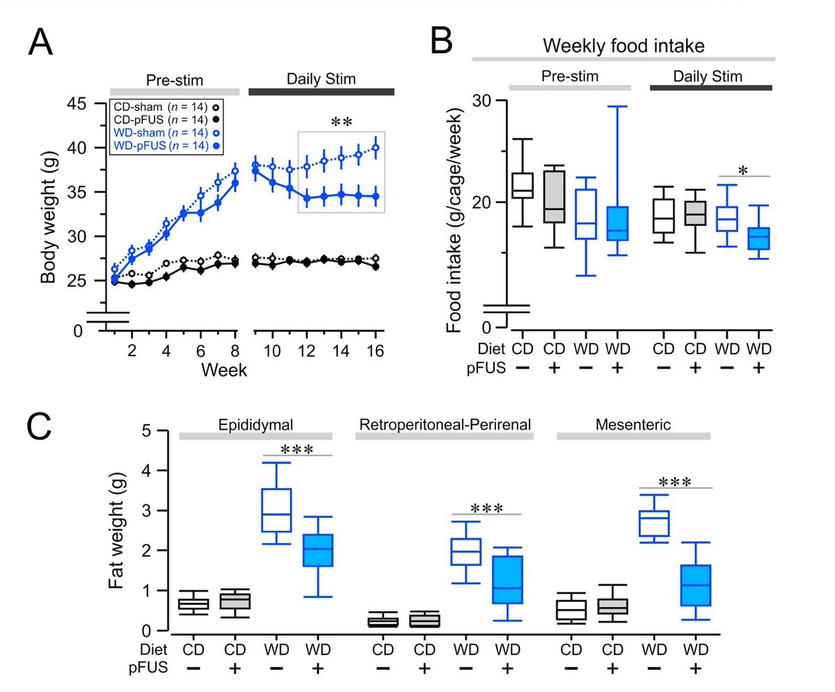 Prof. Kevin J. Tracey, MD tweet media