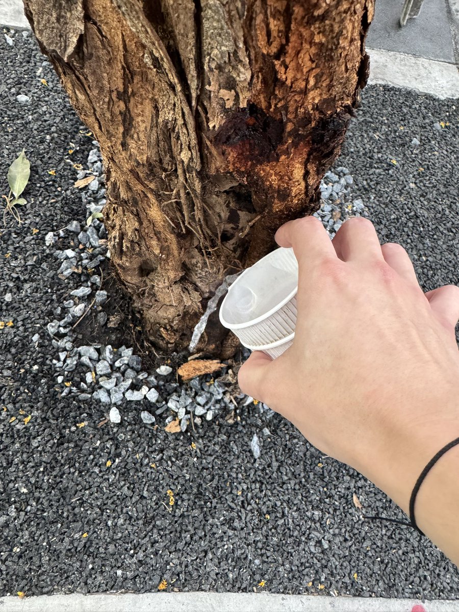 วันหยุดกันละสิ้ นอนพักผ่อนกันให้เต็มที่นะครับ #Spysailub