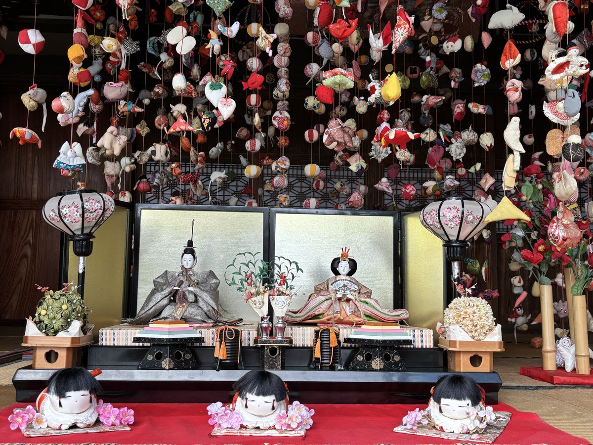 おはようございます 8℃ 今日は予報通り、朝から雨が降っております