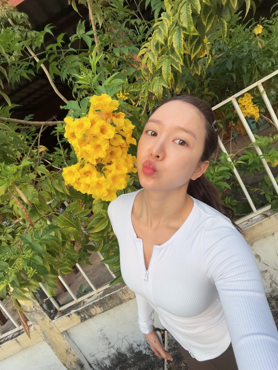 nannirin varokornwatcharakool tweet media