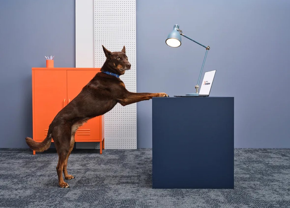 austfintech's tweet image. Australia’s $160 billion compliance burden gets its first real fix as @Kinatico_KYP launches end-to-end SaaS compliance platform

australianfintech.com.au/australias-160… #SaaS #compliance #regtech #australianregtech #regtechnews #complianceplatform