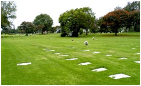 Me extraña mucho que hayan enterrado a El Mencho en el Recinto de La Paz en Guadalajara, lo conozco bien, es un cementerio muy tranquilo donde solo hay jardines y lápidas sencillas, no los grandes mausoleos que les gustan a los narcos. 👇🏻👇🏻👇🏻
