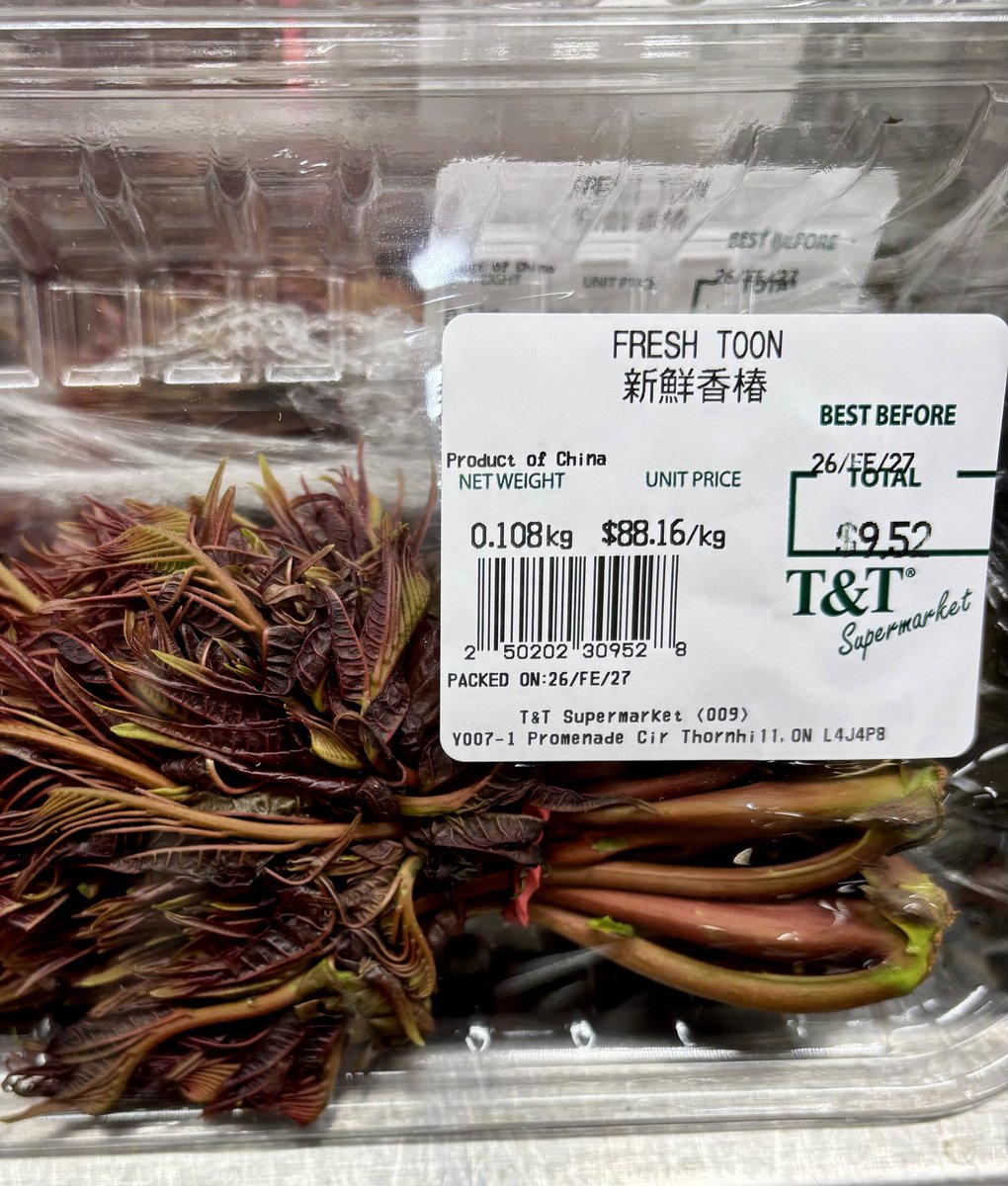 永观🇨🇦 tweet media