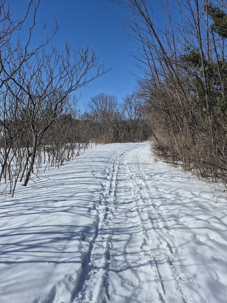 Karyn Curtis🇨🇦🐎 tweet media