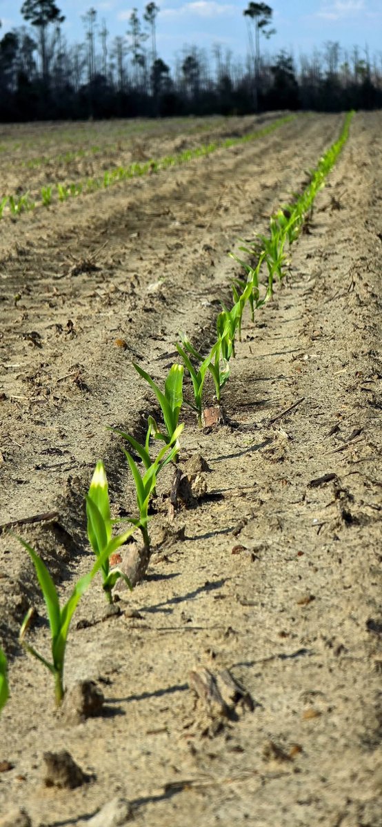 Defund the USDA 2.0 tweet media