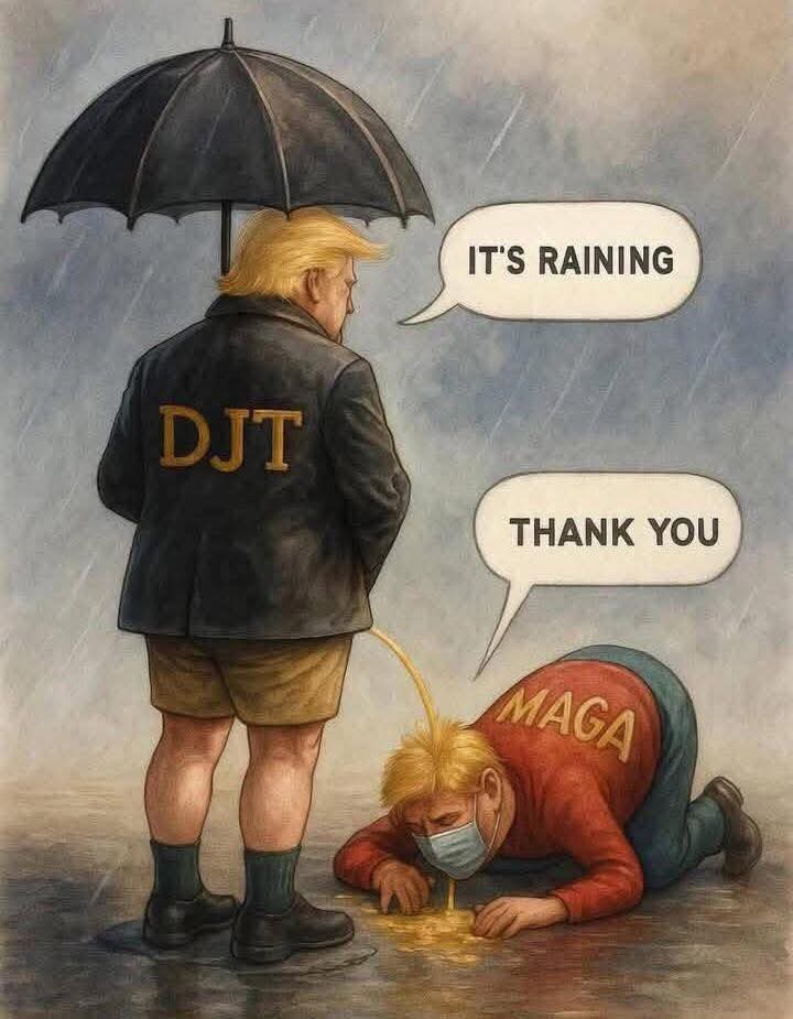 andresdiaz tweet media