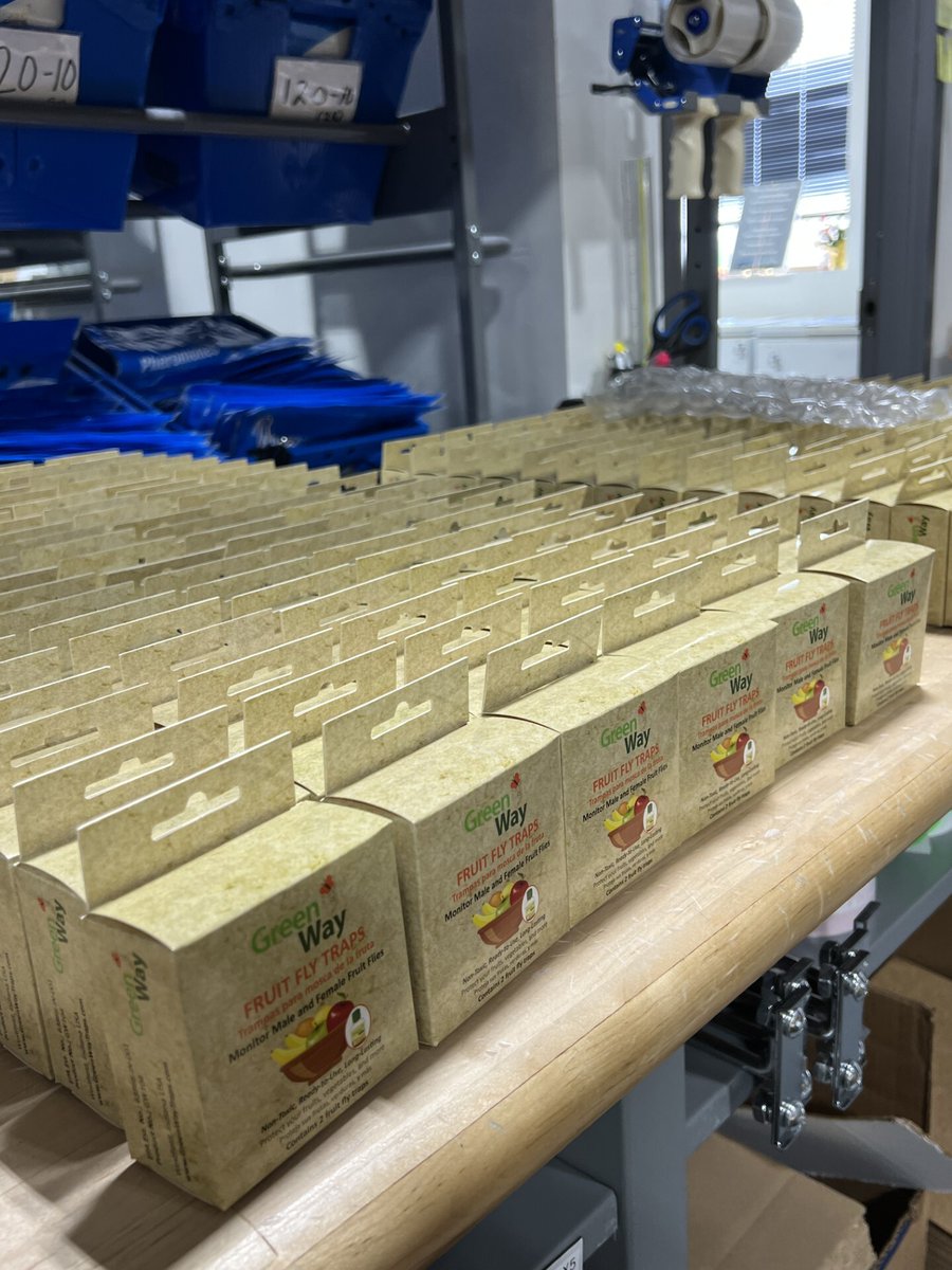 Insects Limited, Inc tweet media