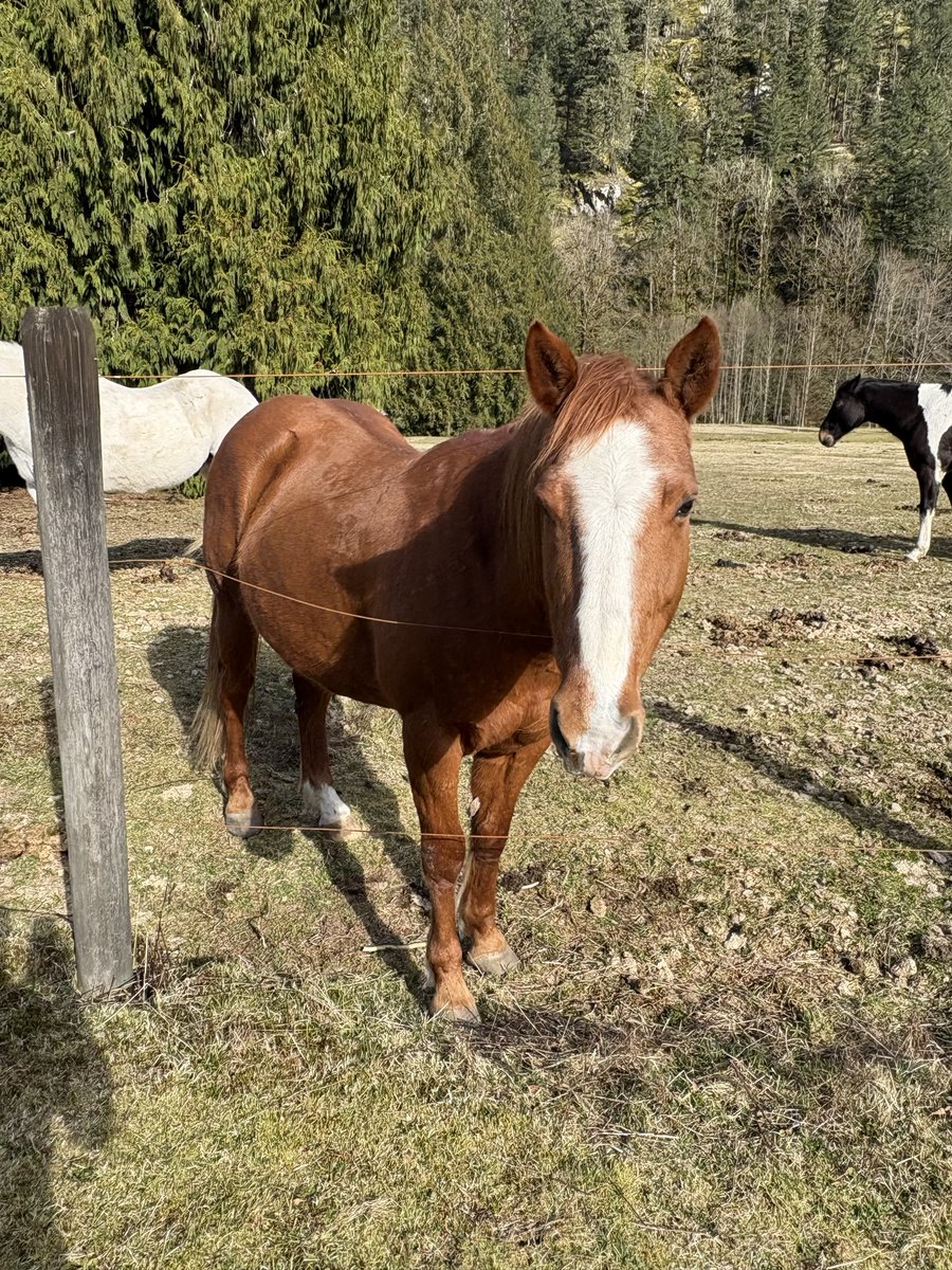 Look at this cutie 😍💞