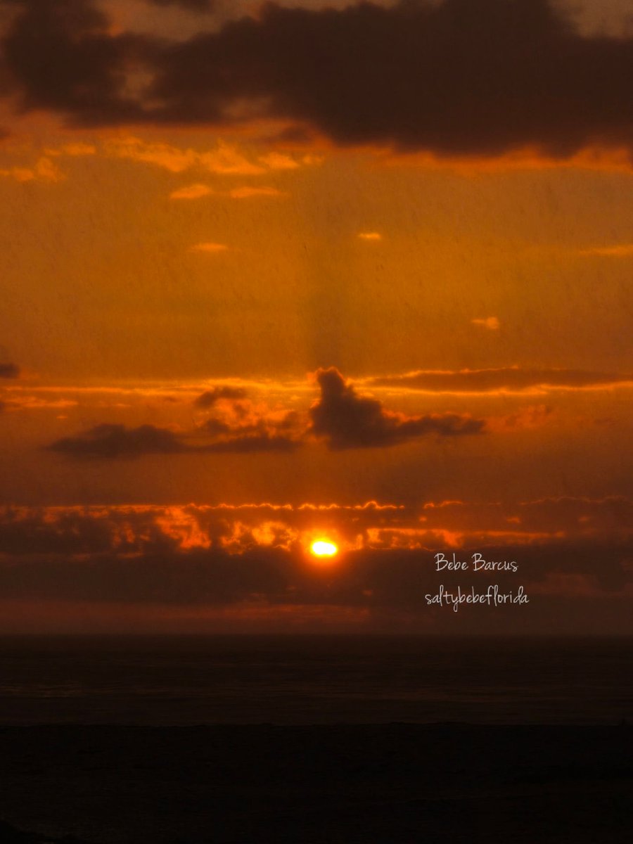 Bebe Barcus tweet media