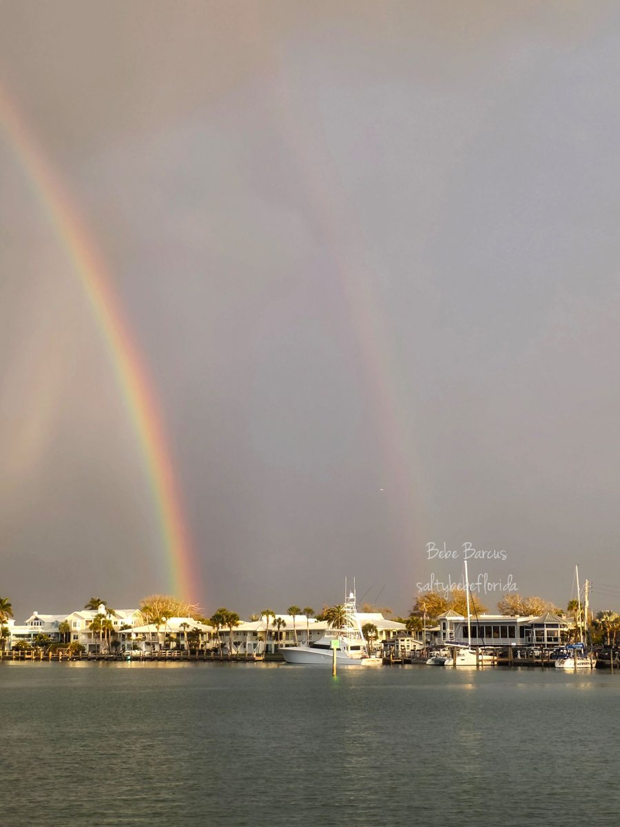 Bebe Barcus tweet media